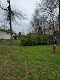 Person standing in grassy yard with bare trees and house in background during overcast day